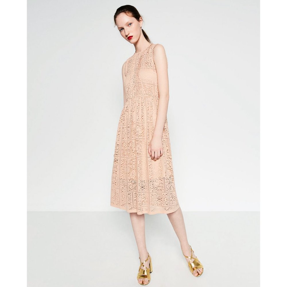 Zara Nude Lace Midi Dress